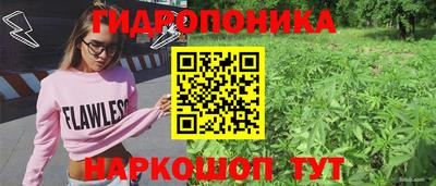 индика Бузулук